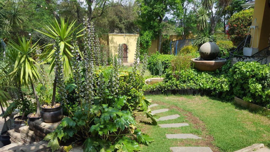 Villa Mikamora 约翰内斯堡 外观 照片